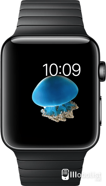 Apple Watch Series 2 42mm - Full Specifications, Price & Review