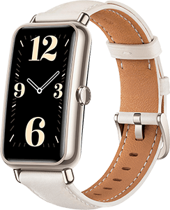 Watch Fit mini