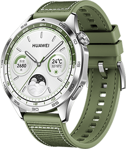 Watch GT 4