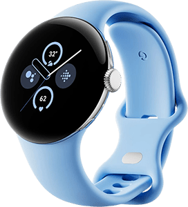 Pixel Watch 2