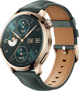 Watch 4 Pro