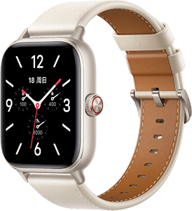 Watch GT