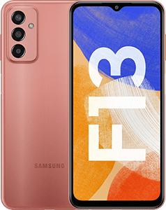 Galaxy F13