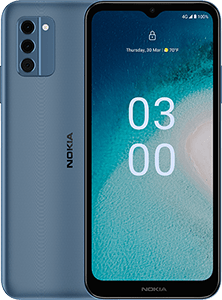 Nokia C300