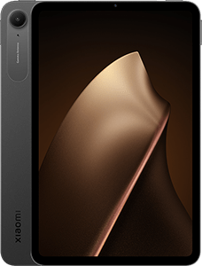 Pad Mini