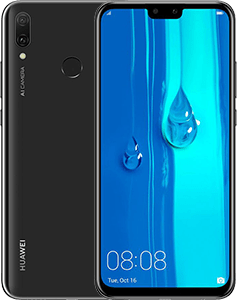 Y9 2019
